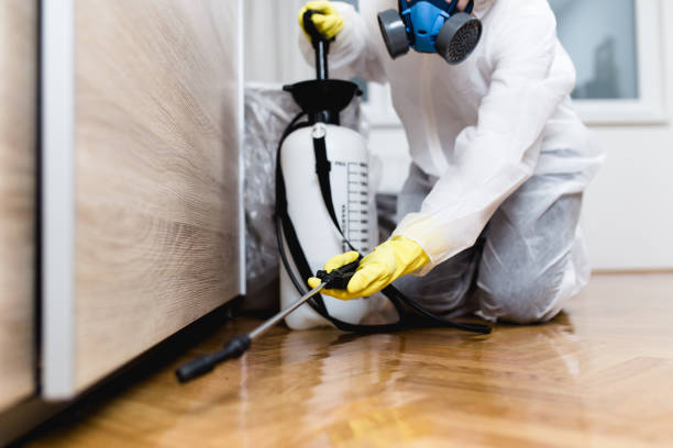 Best Commercial Pest Control Services  in Whiteriver, AZ