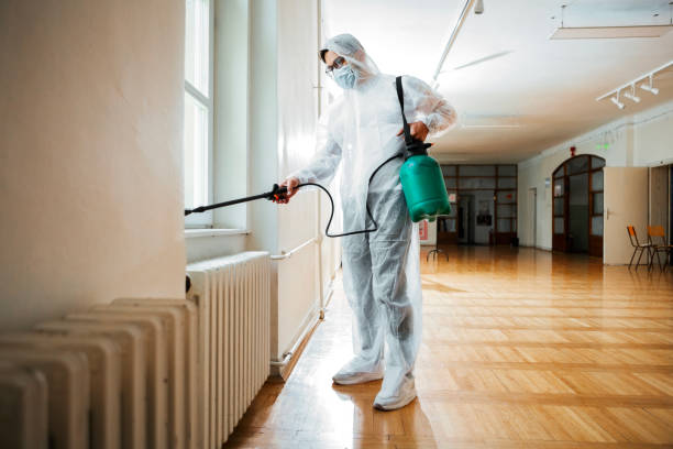 Professional Pest Control in Whiteriver, AZ