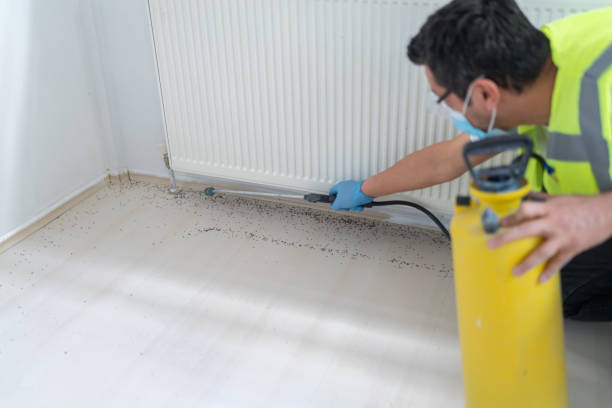 Best Bed Bug Extermination  in Whiteriver, AZ